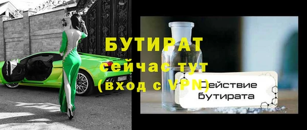 хмурый Бородино