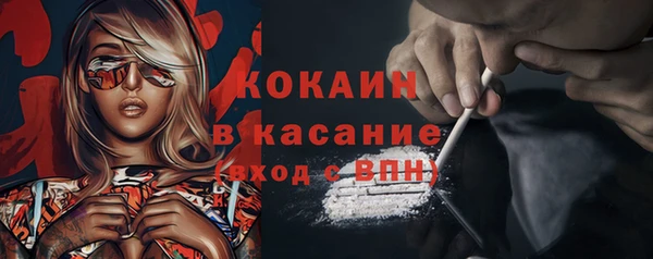 хмурый Бородино