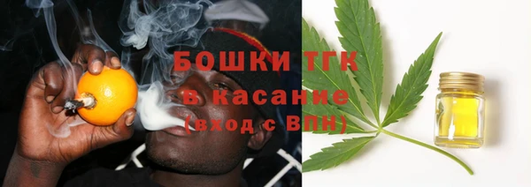 хмурый Бородино