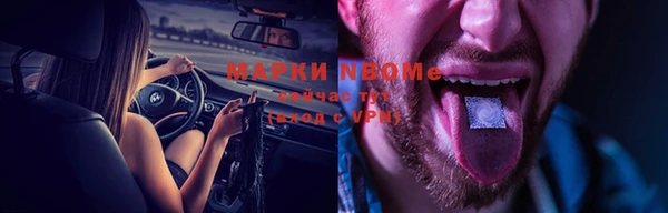 хмурый Бородино