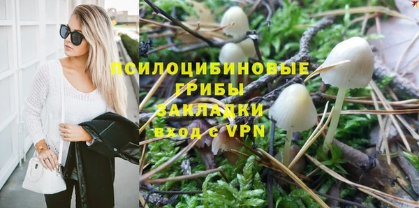 хмурый Бородино