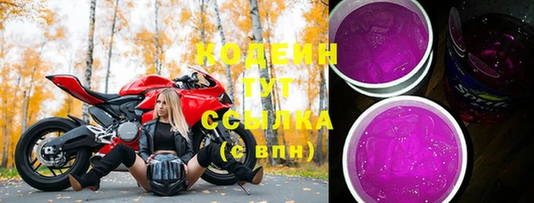 хмурый Бородино
