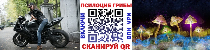 Псилоцибиновые грибы мицелий  hydra ссылки  Шали 